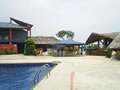 Tierra Dorada