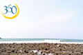 Playa San Mateos